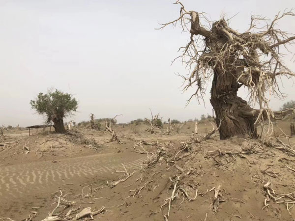 自家承包地征地補償款其他村民要平分嗎？上海律師咨詢網帶你分析　　