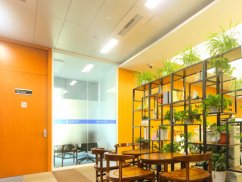 假離婚判決書進行談戀愛懷孕打胎會被判刑嗎